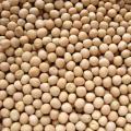 Double Pulses/Double Boot (Double) - 1Kg. 