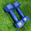 Dumbbell Set 10kg (5kg+5kg) - Blue.