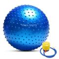 Gym Exercise Ball with Pumper For Body Fitness yoga Ball (75 cm) Spike. 