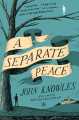 A Separate Peace by John Knowles. 