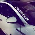Styling Front Windshield Canibeat Sticker Car Reflective Sticker Car Sticker CANIBEAT Hellaflush.