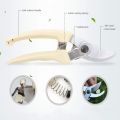 Stainless Steel Garden Pruning Shears Sharp Blade Garden Shears for Cutting Flowers Trimming Plants of Yard Florist Flower Rose Herb Hedge Bonsai and Fruits Picking.