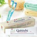 Dxn Ganozhi Toothpaste - 150gm.