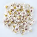 Artificial Flowers Scrapbook Candy Box Wedding Party Home Decor Small Flowers for Crafts Christmas Wreaths Silk Mini Daisy.