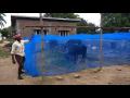 Cow Shed Mosquito Net House Fly Disease Irritation Protection Net- 5 Goj. 