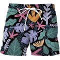 Men's Printed Beach Shorts Fashion Hawaii Comfort Swimwear Pants Men's Casual Quick Dry Breathable Teen Summer Shorts for Men.