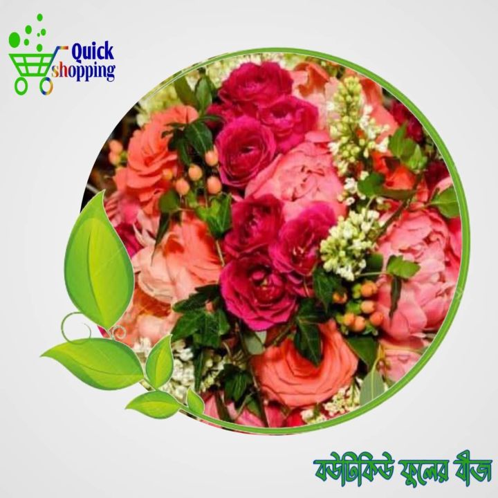 All%20Season%20China%20Rose%20Flowers%20Seeds%207%20Pice(Natural%20Flowers%20Seeds)%20-%20Image%202