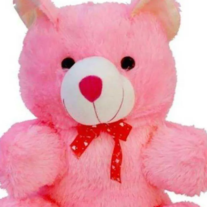 Pink%20Teddy%20Bear%20For%20Teddy%20Lover%20&%20Best%20Gift%20-%20Super%20Soft%20Teddy%20-%20Image%203