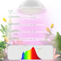 200 Grow Light Bulb Full Spectrum for Indoor Plants. 