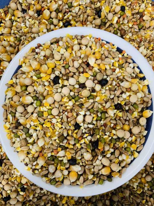 Pigeon Seed Mix Kobutor Mix Special Racer Mix ( Vutta Vangga Soho Homa Mix ) -1kg