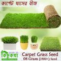 Barmuda Grass Carpet Grass Seed - 05/10 gm  Seed. 