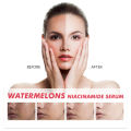 Watermelon Glow Niacinamide Dew Drops Serum Brightening Makeup Primer Cream Moisturizer Facial Serum Skincare Liquid Highlighter. 