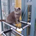 Double Layer Cat Window Perch, Cat Hammock, Suction Cup Window Bed, Sunny Seat Cat Resting Shelf for Indoor Cats for Basking Pet Supplies.