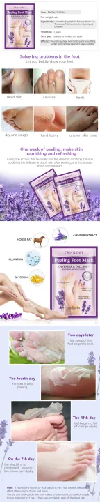 %E3%80%BD%EF%B8%8F%20GUANJING%20Peeling%20Foot%20Mask%20Lavender%20&%20Collagen%20%E2%80%93%2040g/1%20Pair%20%20Whitening%20&%20Moisturizing%20Foot%20Peel%20Mask%20Dead%20Skin%20Remover,%20Repair%20Cracked%20Heels%20&%20Soften%20Foot%20Mask%20for%20Baby%20Soft%20Feet%20%20By%20Muin%20Distribution%20-%20Image%204