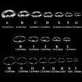316 Stainless Steel Body Piercing Nose Ring Stud Earrings Spring Action Captive Bead Ring CBR 2G 4G 6G 8G 0G 00G Body Jewelry.