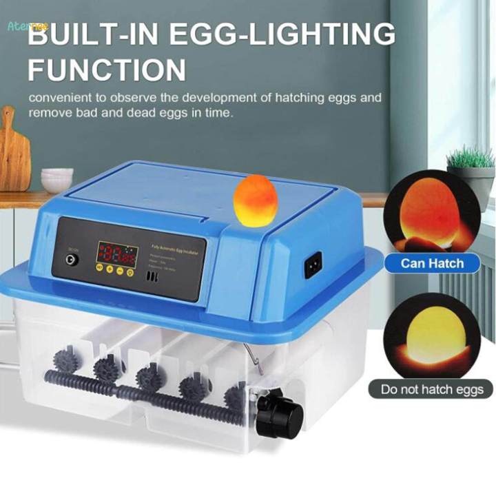 Automatic%20Egg%20Incubator%20Small%20Egg%20Hatcher%20Machine%20for%20Chicken%20Birds%20Quail%2012%20eggs%2026x31x21cm%20-%20Image%204