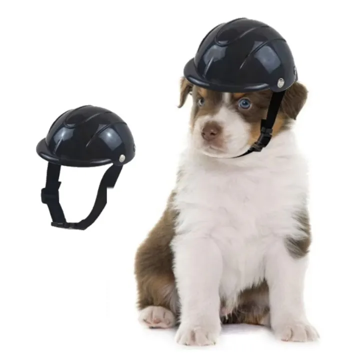 Fashion Adjustable Dog Helmet Windproof Breathable Pet Motorcycle Helmet Cap Wear Resistant Plastic Dog Cycling Helmets Outdoor