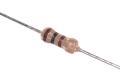 RESISTOR 100 OHM - 1/4W  (100PCS). 