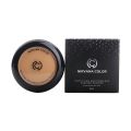 Nirvana Color Mattifying and Poreless Pressed Powder (Light Golden). 