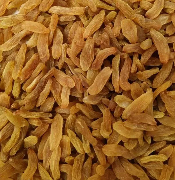 Raisin/%20golden%20Kismis%20500gm%20(Premium)%20-%20Image%202