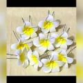 Artificial Kathgolap Hair Clip for Girls and Women - 2pc (White). 
