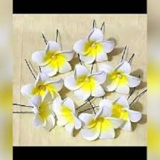 Artificial%20Kathgolap%20Hair%20Clip%20for%20Girls%20and%20Women%20-%202pc%20(White)%20-%20Image%202