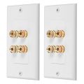 NAMUNY 2X 4 Posts Speaker Wall Plate Home Theater Wall Plate Audio Panel for 2 Speakers. 