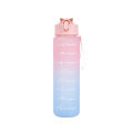 750ML Sports Water Bottle Frosted Gradient Water Cup Drinking Portable Straw Cups Drinkware Outdoor Travel Gym Fitness Jugs. 
