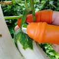 Silicone Vegetable And Fruits Thumb Cutter Finger cutter 5 in 1. 