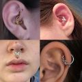 3PCS Daith Clicker Hoops Set Cartilage Piercing Earring Helix Hoop Bulk Septum Nose Ring Hoop Lot Tragus Hoop Rook Earrings. 