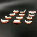 Single Piece Halloween Teeth Decorative Plastic Flexible Dentures Realistic Vampire Teeth for Halloween Party Children Cosplay. 