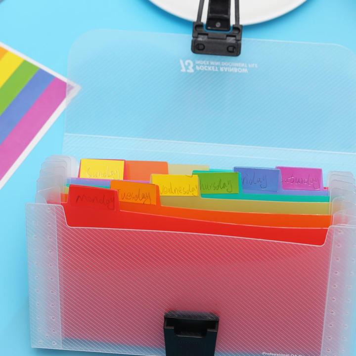 %E3%80%90On%20Sale%E3%80%91%20A6%20School%20Plastic%20File%20Case%20Document%20Bag%2013%20Pockets%20Paper%20Organizer%20File%20Folder%20-%20Image%203