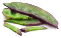 Highly Vital - Hybrid kidney bean (Simer Bij) seeds 1 intake packet (05 gram) - Tools, DIY & Outdoor - Modern and Trendy. 