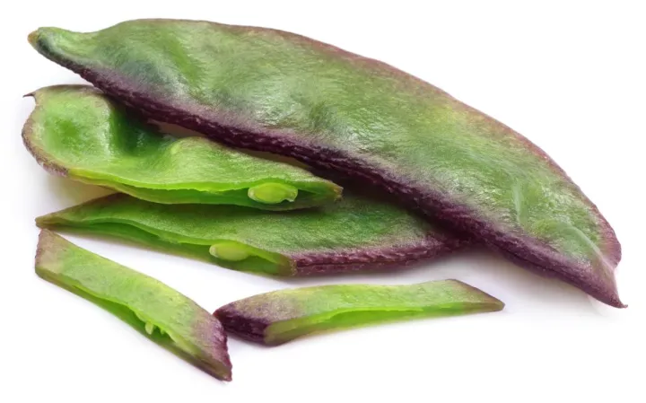 Highly%20Vital%20-%20Hybrid%20kidney%20bean%20(Simer%20Bij)%20seeds%201%20intake%20packet%20(05%20gram)%20-%20Tools,%20DIY%20&%20Outdoor%20-%20Modern%20and%20Trendy%20-%20Image%203