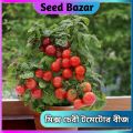 Hybrid Cherry tomato seeds 30 pice+gift. 