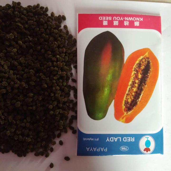 Papaya Red Lady F1 Hybrid -25 pcs Seed