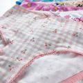 Pack of 5 Teen Girls Soft Jersey Cotton Printed Briefs Panties From Levin. 
