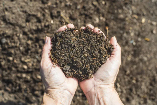 Premium%20Varmicompost%20Fertilizer%202%20KG%20(Natural%20Vermicompost)Garden%20Soil%20And%20Fertilizer%20-%20Image%204