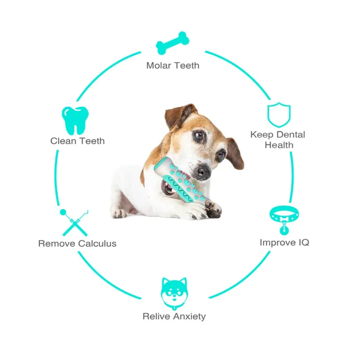 Dog%20Molar%20Toothbrush%20Stick%20Toys%20For%20Small%20Large%20Dogs%20Cat%20Tooth%20Cleaning%20Puppy%20Chew%20Funny%20Interactive%20Training%20Toy%20Accessories%20-%20Image%202