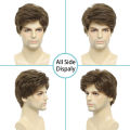 BCHR Mens Wigs Short Brown Wig Men Natural Fluffy Cosplay Costume Synthetic Mens Wig for Male Guy. 