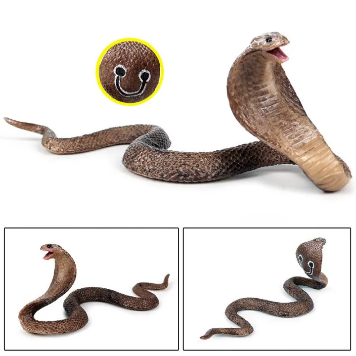 Simulation%20Reptile%20Model%20Cobra%20Snake%20Amphibious%20Spectacles%20Kingsnake%20Model%20Tidy%20Toy%20Ornaments%20-%20Image%205