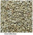 Fresh Green Coffee Beans 200g. 