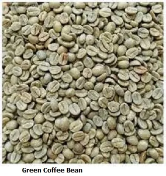 Fresh%20Green%20Coffee%20Beans%20200g%20-%20Image%202
