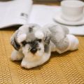 Simulation Dog Plush Toy Stuffed Animal Super High Quality Realistic Schnauzer Dog Toy For Luxury Home Decor Pet Lover Gift.