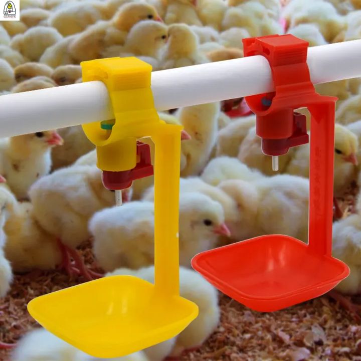 Plastic%20poultry%20drinkers%20high%20quality%20automatic%20nipple%20drinker%20for%20chicken%20cage%20in%20Angola%20-%20Image%202