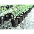 Nursery Black Poly Bag 16/16 inch for Planting Nursery Pots Plant Grow Bags Seedling Planter.