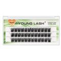 YOUNG LASH DIY Eyelashes Cluster Lashes Extensions C D Curl Premade Volume Fans Russian Eyelashes Makeup. 