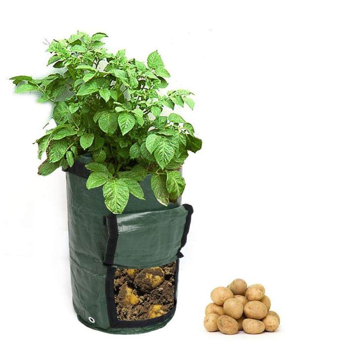 DIY%20Potato%20Grow%20Planter%20PE%20Cloth%20Planting%20Container%20Bag%20Vegetable%20Grow%20Bag%20-%20Image%205