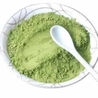 Mint%20leaf%20Powder(100%20gm)-%20Pudina%20Pata%20Gura%20-%20Image%208