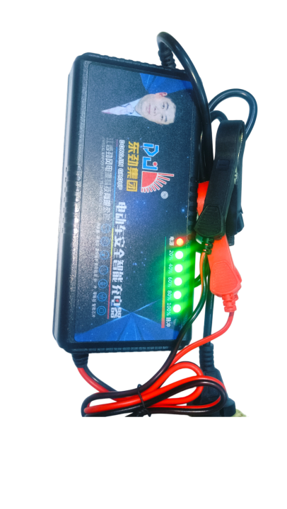 DJ%2012V%2030-200Ah%20Smart%20Heavy%20Duty%20Battery%20Charger%20%7C%20Lead%20Acid%20&%20Dry%20Cell%20Charger%20for%20Car,%20Auto%20Rickshaw,%20UPS%20&%20IPS%20%7C%20Professional%20Fast%20Repair%20Charger%20-%20Image%204